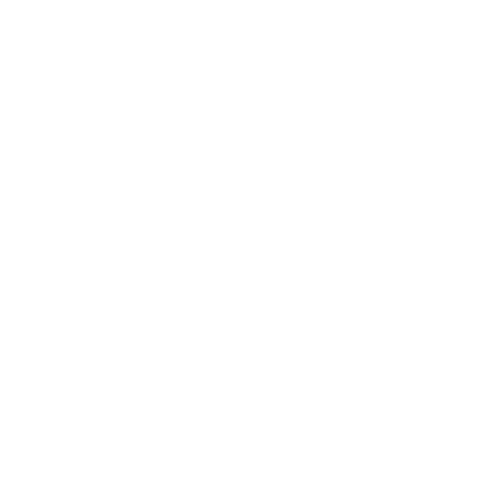 ChronoWalk