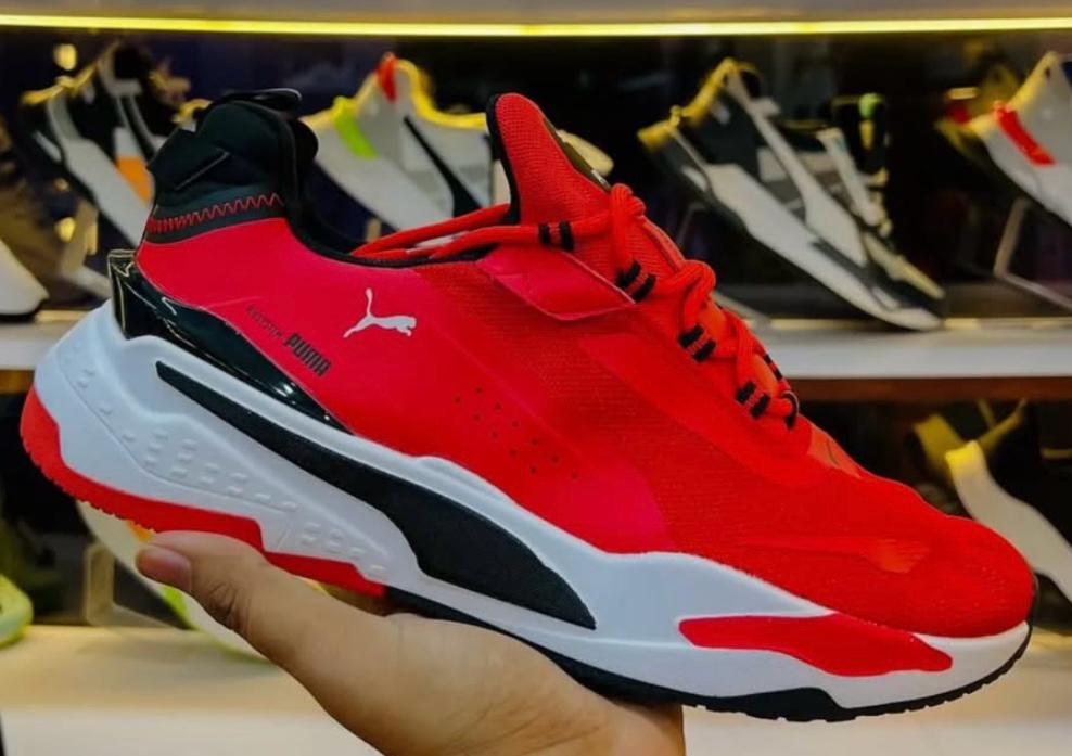 PUMA RS SYSTEM